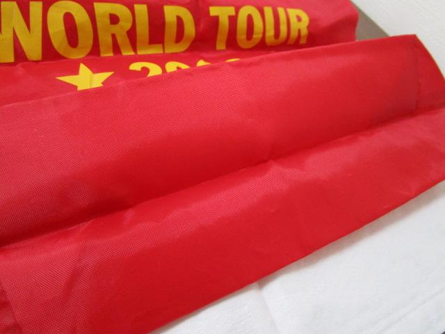 HYSTERIC GLAMOUR MINI qXebN~j WORLD TOUR 2008 obO ̎ʐ^7