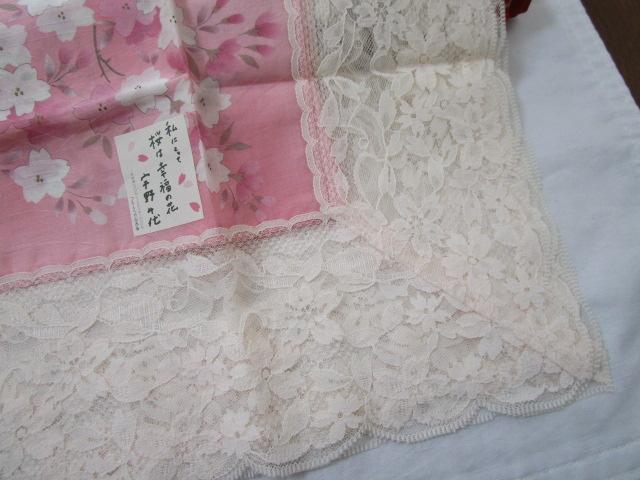 F [Xt G| sNn gp 64cm  ̎ʐ^4