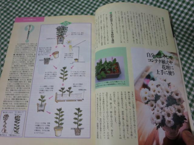 NHK趣味の園芸 1998年11月号 の写真4