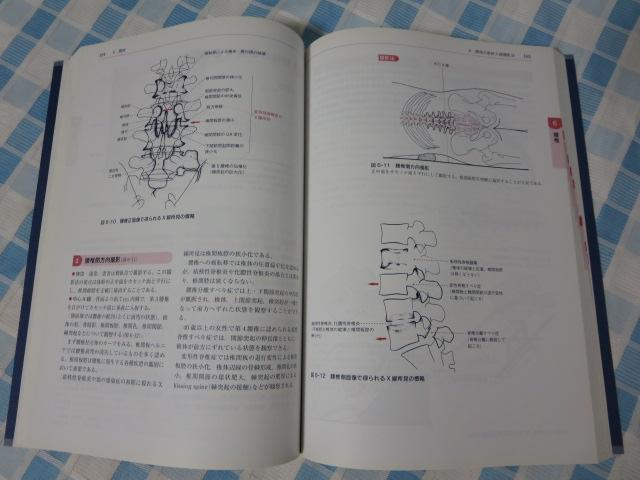 E֐Xʐ^̎B肩ƌ 8 x d ̎ʐ^4