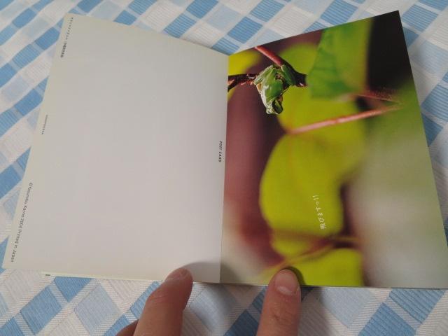 JĜԂ₫\|XgJ[h VɕPost card book/ אL ̎ʐ^2
