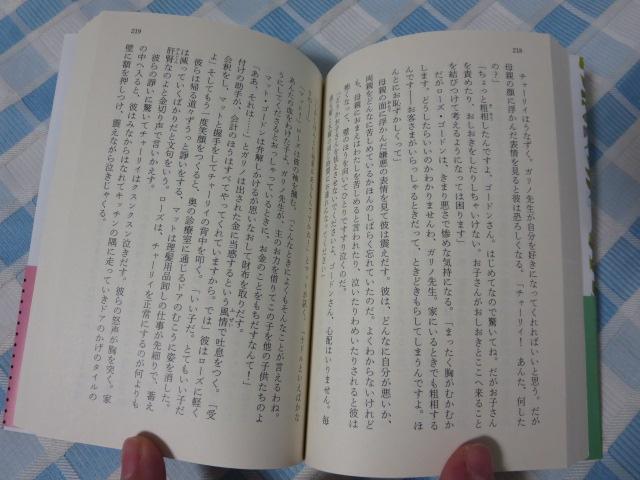 �A���W���[�m���ɉԑ��� �V�� (�n���J������NV) �_�j�G���E�L�C�X/�������� �̎ʐ^4