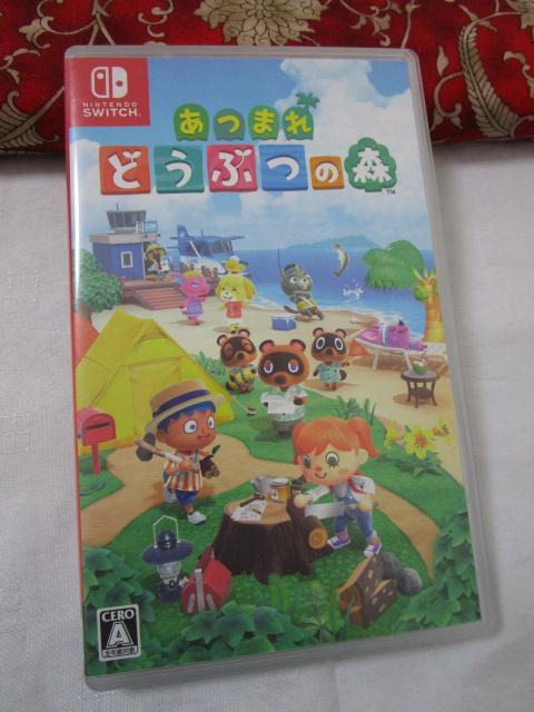 Nintendo Switch\tg ܂ ǂԂ̐X ̎ʐ^1