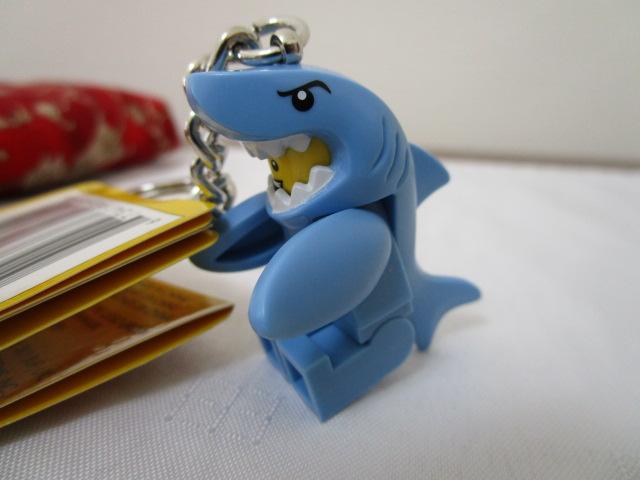 LEGO L[z_[ V[NKC ̎ʐ^9