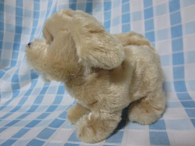 C sbR[l go[ drœʂ ̎ʐ^1