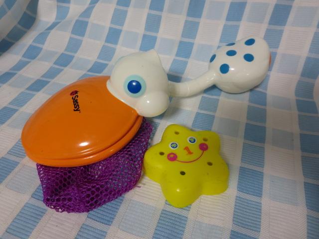 Sassy yJlbg&tY ̎ʐ^1