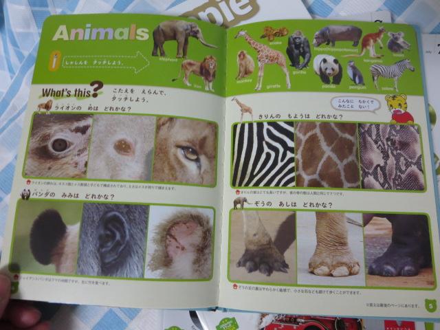 Xebs[y&ubN낢Zbg ǂ Ă CObV ̎ʐ^4