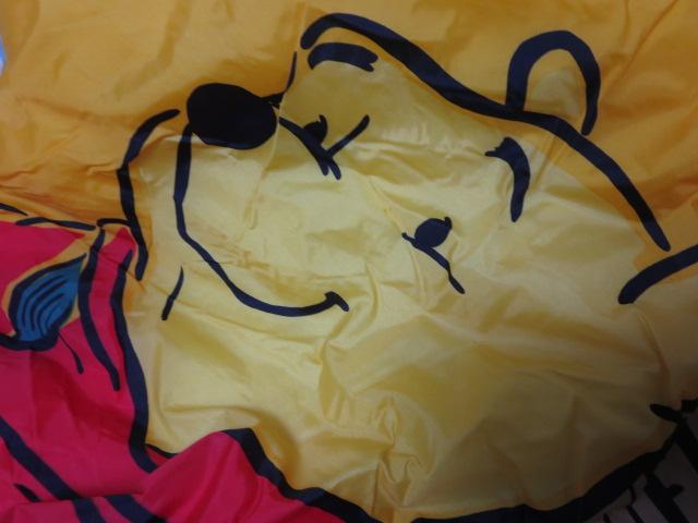 LOGOS���S�X �X���[�s���O�o�b�O KIDS ���܂̃v�[���� �̎ʐ^3