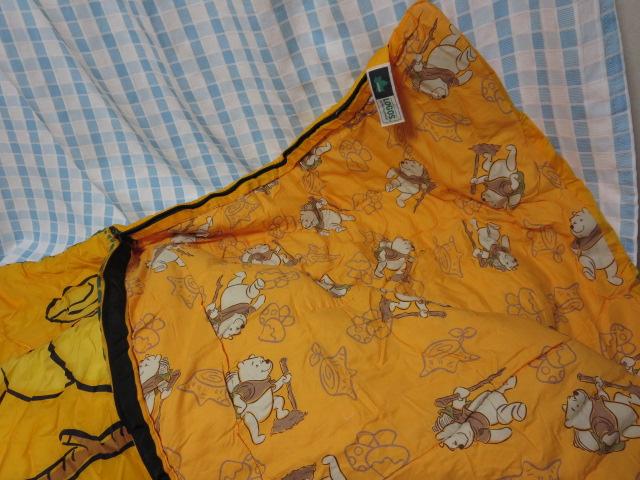 LOGOS���S�X �X���[�s���O�o�b�O KIDS ���܂̃v�[���� �̎ʐ^5