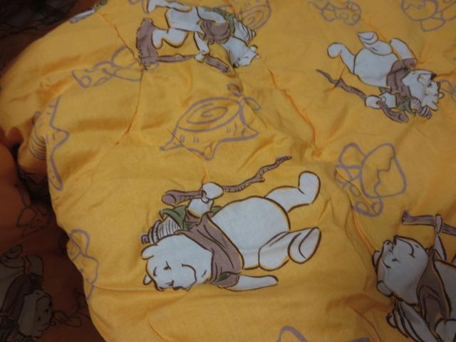 LOGOS���S�X �X���[�s���O�o�b�O KIDS ���܂̃v�[���� �̎ʐ^8