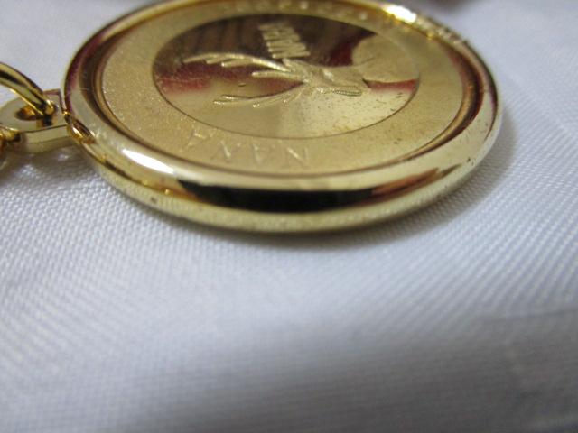 LO_ L[z_[ ޗ 厛 2009N ̎ʐ^4