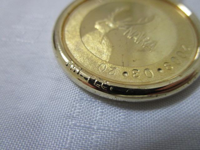 LO_ L[z_[ ޗ 厛 2009N ̎ʐ^7