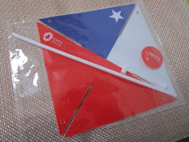 EXPO 2025 ���E�֐����� �`���p�r���I�� �����̕��� ���g�ݗ��Ď� �̎ʐ^1