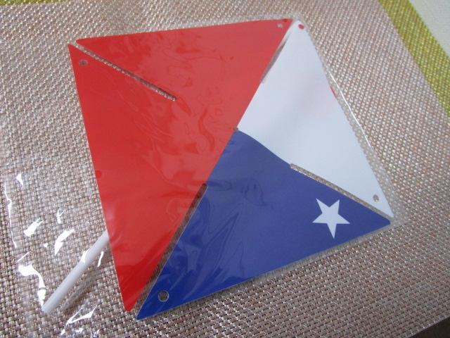 EXPO 2025 ���E�֐����� �`���p�r���I�� �����̕��� ���g�ݗ��Ď� �̎ʐ^4