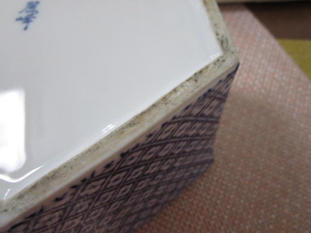 ����q ���t�ԕ��Z�p�D�M ����^�̊D�M �̎ʐ^6