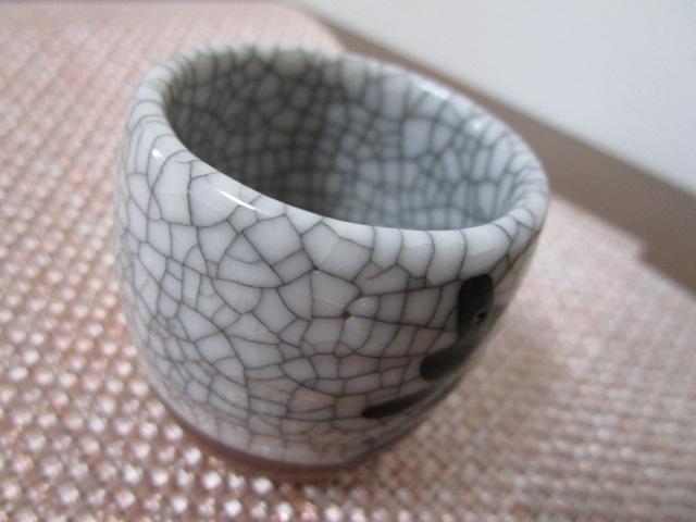 ���]���N ������ �����ۂ� ���� �̎ʐ^7