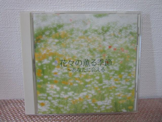 CD �X������ �ԁX�̌O��G�� ���Ȃ��ɉ�� �G���N�g�[�� ���тȂ��E���i �̎ʐ^1