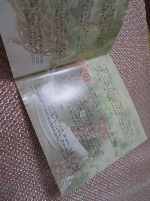 CD �X������ �ԁX�̌O��G�� ���Ȃ��ɉ�� �G���N�g�[�� ���тȂ��E�������� �̎ʐ^7