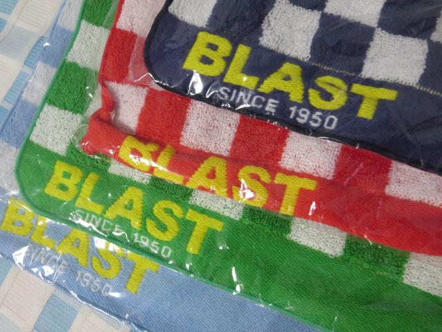 ^I ~j^InJ`4FZbg ƃS BLAST ̎ʐ^2