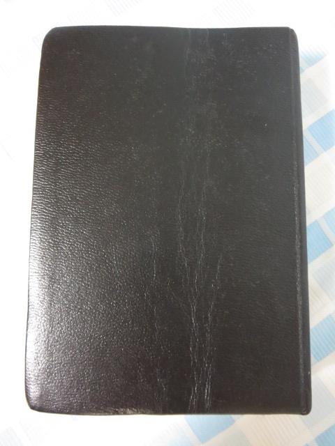 �V���E�� ���� ���݂̂̓��������q���� C �̎ʐ^2