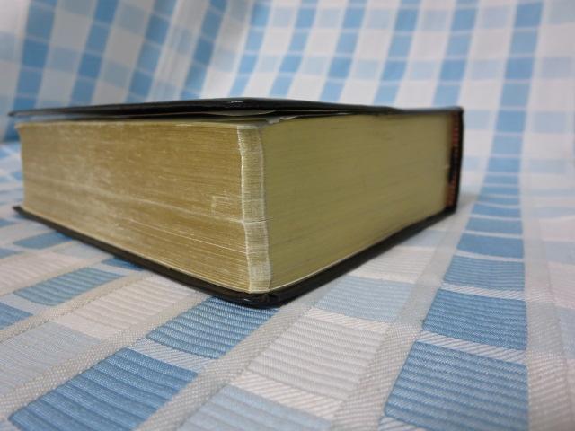 �V���E�� ���� ���݂̂̓��������q���� C �̎ʐ^3