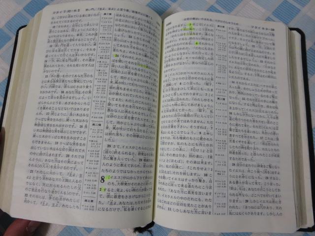 �V���E�� ���� ���݂̂̓��������q���� C �̎ʐ^6