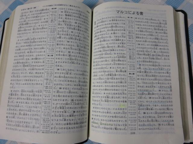 �V���E�� ���� ���݂̂̓��������q���� C �̎ʐ^7