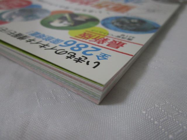 & SKCh ̎ʐ^5