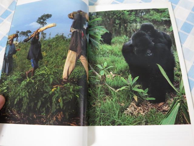 NATIONAL GEOGRAPHIC iViWIOtBbN 1995N10 ̎ʐ^4