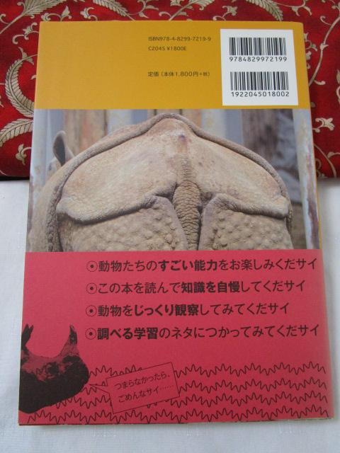 ZooƂ̂[!  ̎ʐ^2