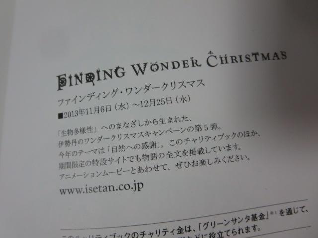 FINDING WONDER CHRISTMAS t@CfBOE_[NX}X ɐO ̎ʐ^3