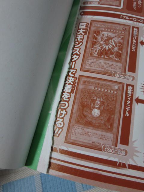 VEYEt@CufB[Y [h`sIVbv2011 I[o[EUElNTX NDS [hEgDErNg[ Ri~U{ ̎ʐ^4