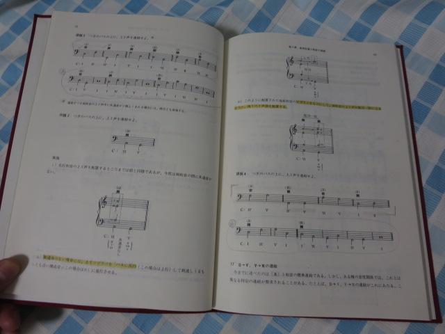 a _ƎK 1   ̎ʐ^4