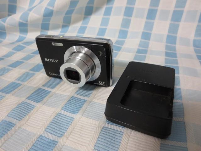 SONY RfW Cyber-shot DSC-W220  WN [d&2GBXet ̎ʐ^1