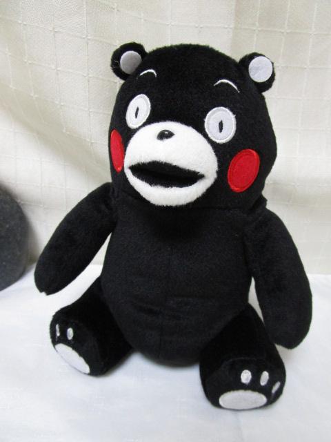 ܃ ʂ 19cm ̎ʐ^1