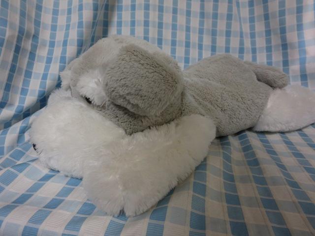 Vi ViEU[Qׂ ʂ 70cm ̎ʐ^2
