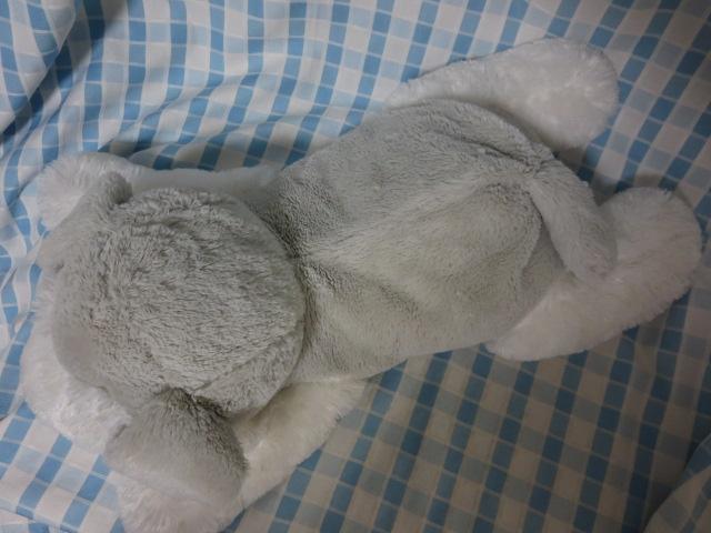 Vi ViEU[Qׂ ʂ 70cm ̎ʐ^3