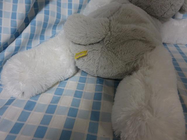 Vi ViEU[Qׂ ʂ 70cm ̎ʐ^4