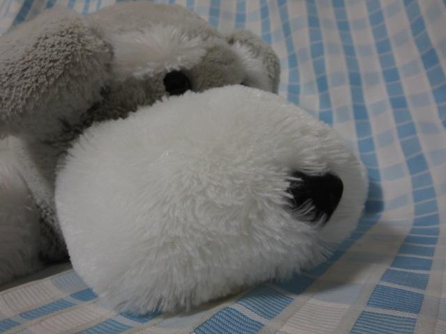 Vi ViEU[Qׂ ʂ 70cm ̎ʐ^7