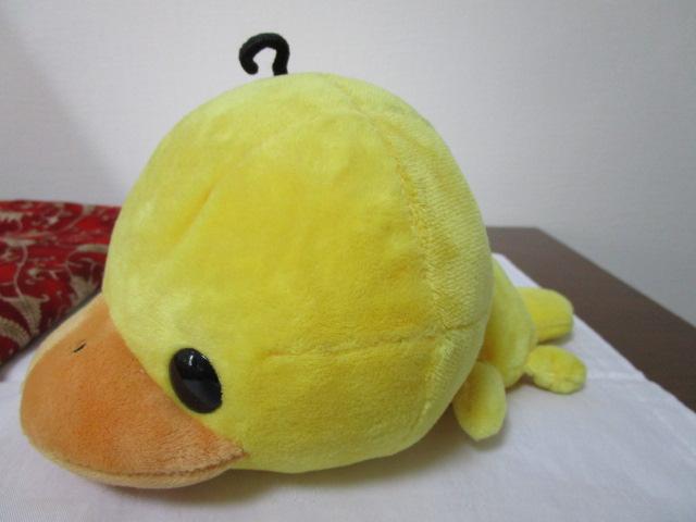 ̂͂B Qׂ ʂ 21cm ̎ʐ^1