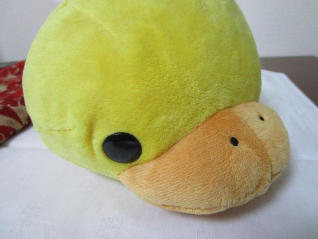 ̂͂B Qׂ ʂ 21cm ̎ʐ^9