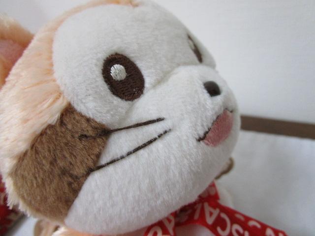 胉XJʂ E쌀 炢܃XJ 14cm ̎ʐ^7