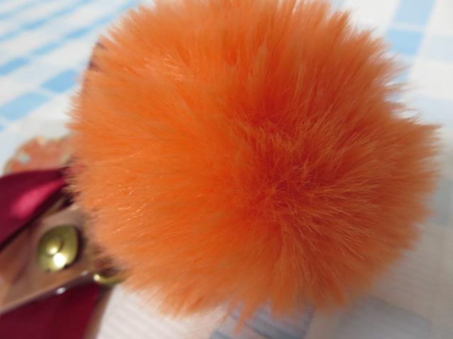 L[z_[ Eevee Collection u[X^[ |PZ^[ VigpE^O ̎ʐ^4