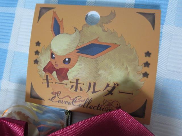 L[z_[ Eevee Collection u[X^[ |PZ^[ VigpE^O ̎ʐ^5