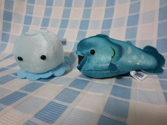 �킭�킭�̊C �[�C�����ʂ������ 2��Z�b�g �̎ʐ^1