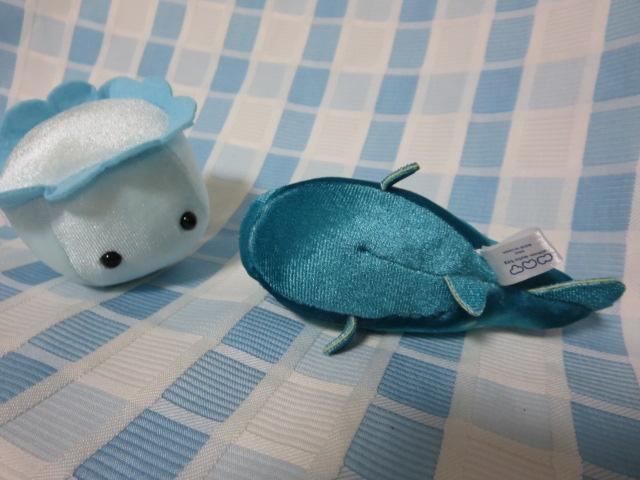 �킭�킭�̊C �[�C�����ʂ������ 2��Z�b�g �̎ʐ^4