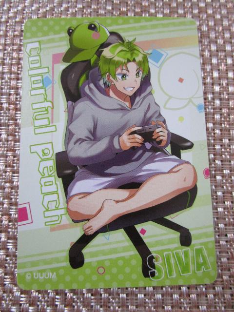 �V���@ ����҂��O�~�̃J�[�h ���J���t���s�[�` �̎ʐ^1