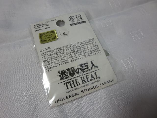i̋l THE REAL `[ USJ G ̎ʐ^2