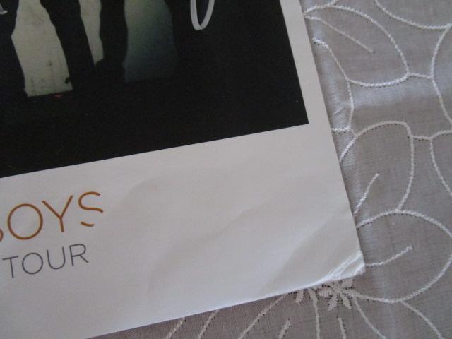 BACKSTREET BOYS obNXg[g{[CY MTC IN A WORLD LIKE THIS Japan Tour 2013 ̎ʐ^2