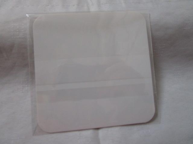 FGO �M���K���b�V�� �Z�K �R�[�X�^�[ ���V�n�������J蓂̐� �̎ʐ^2